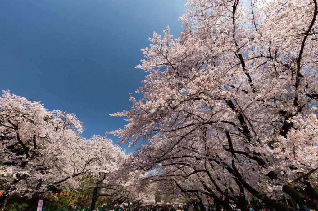 Forest Hongo Tokio Exterior foto